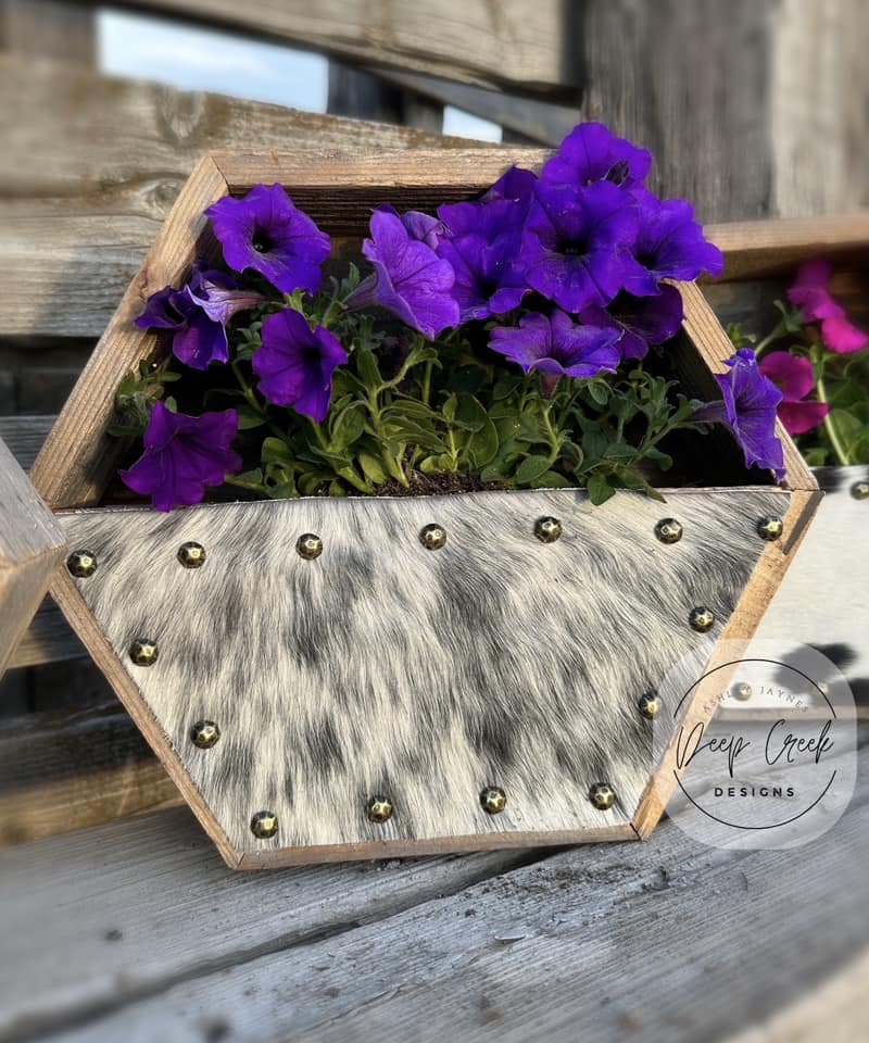 Custom Cowhide Hexagon Planter Boxes