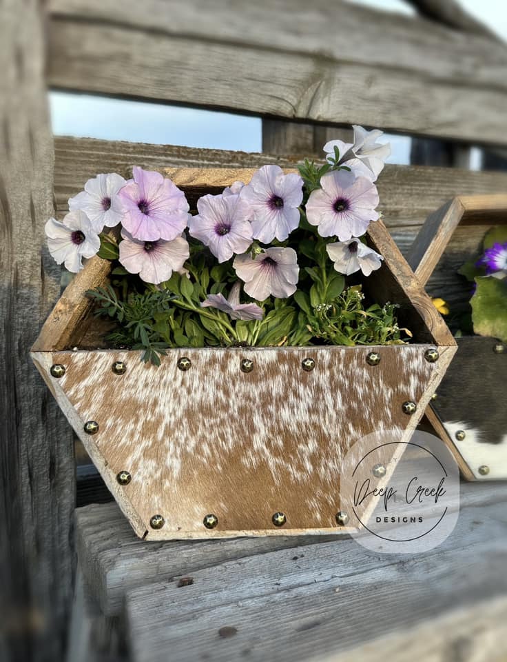 Custom Cowhide Hexagon Planter Boxes